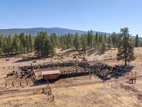 Tiny photo for 300 Road 49 Silverlake Highway, Chiloquin, OR 97624 (MLS # 220224864)