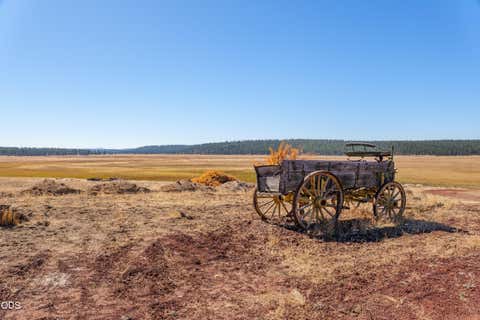 Tiny photo for 300 Road 49 Silverlake Highway, Chiloquin, OR 97624 (MLS # 220224864)