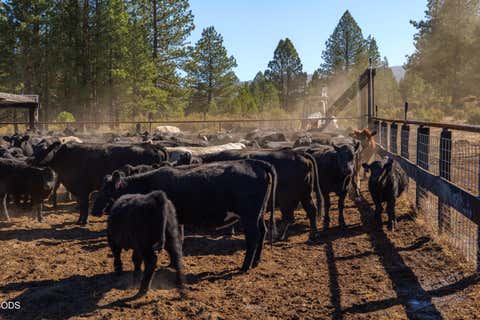 Tiny photo for 300 Road 49 Silverlake Highway, Chiloquin, OR 97624 (MLS # 220224864)