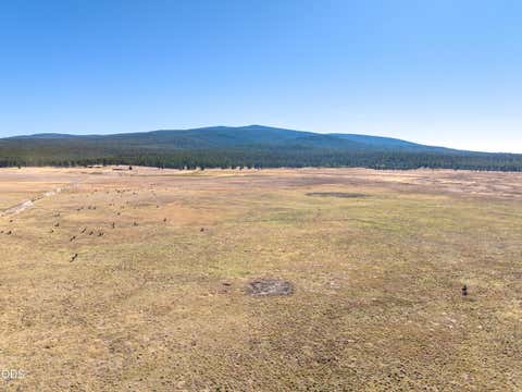 Tiny photo for 300 Road 49 Silverlake Highway, Chiloquin, OR 97624 (MLS # 220224864)
