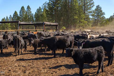 Tiny photo for 300 Road 49 Silverlake Highway, Chiloquin, OR 97624 (MLS # 220224864)