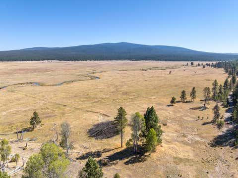 Tiny photo for 300 Road 49 Silverlake Highway, Chiloquin, OR 97624 (MLS # 220224864)