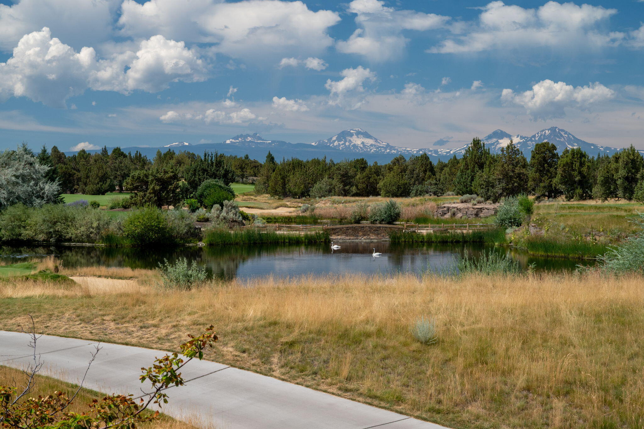 Pronghorn - Residential