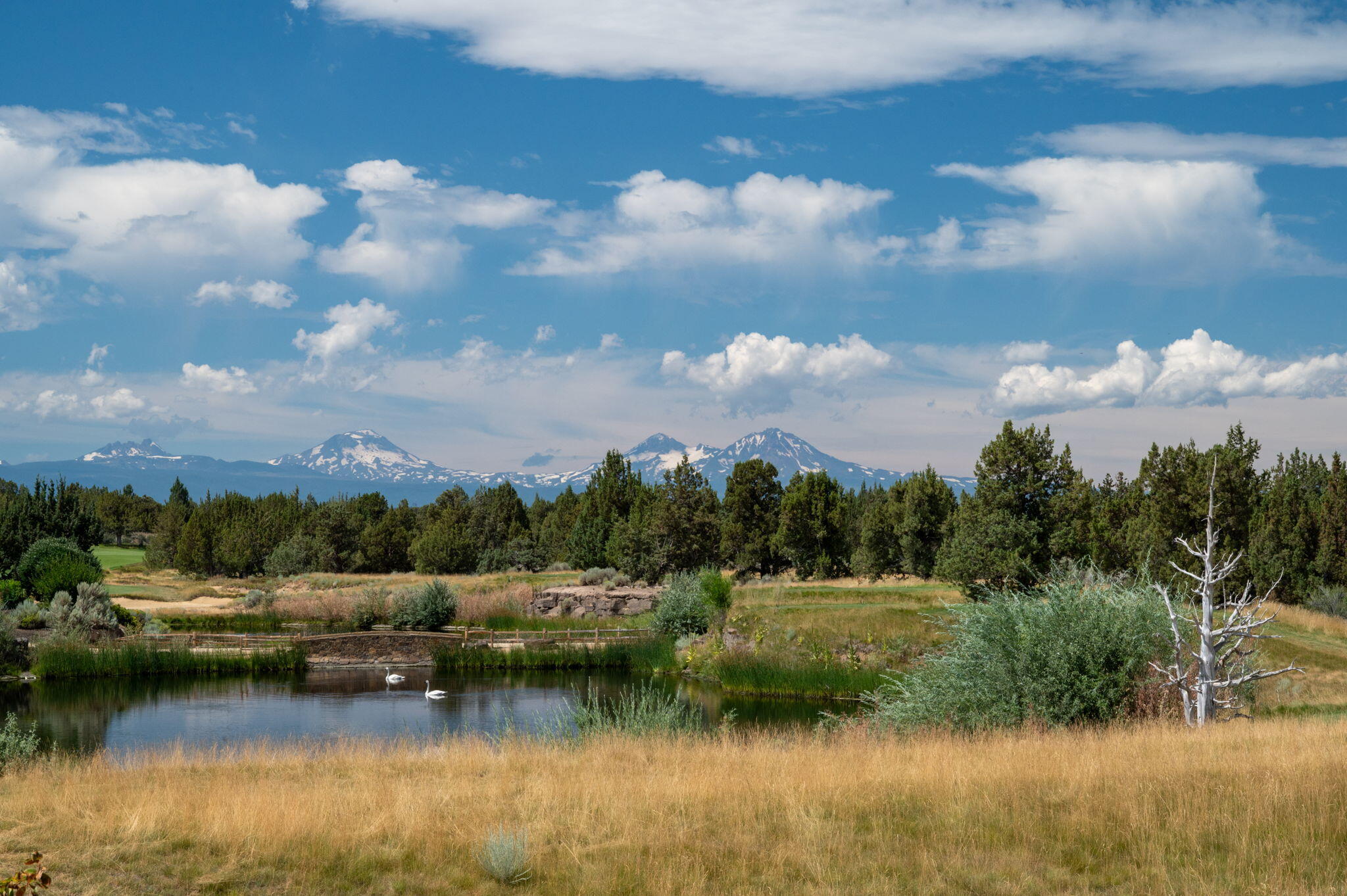 Pronghorn - Residential