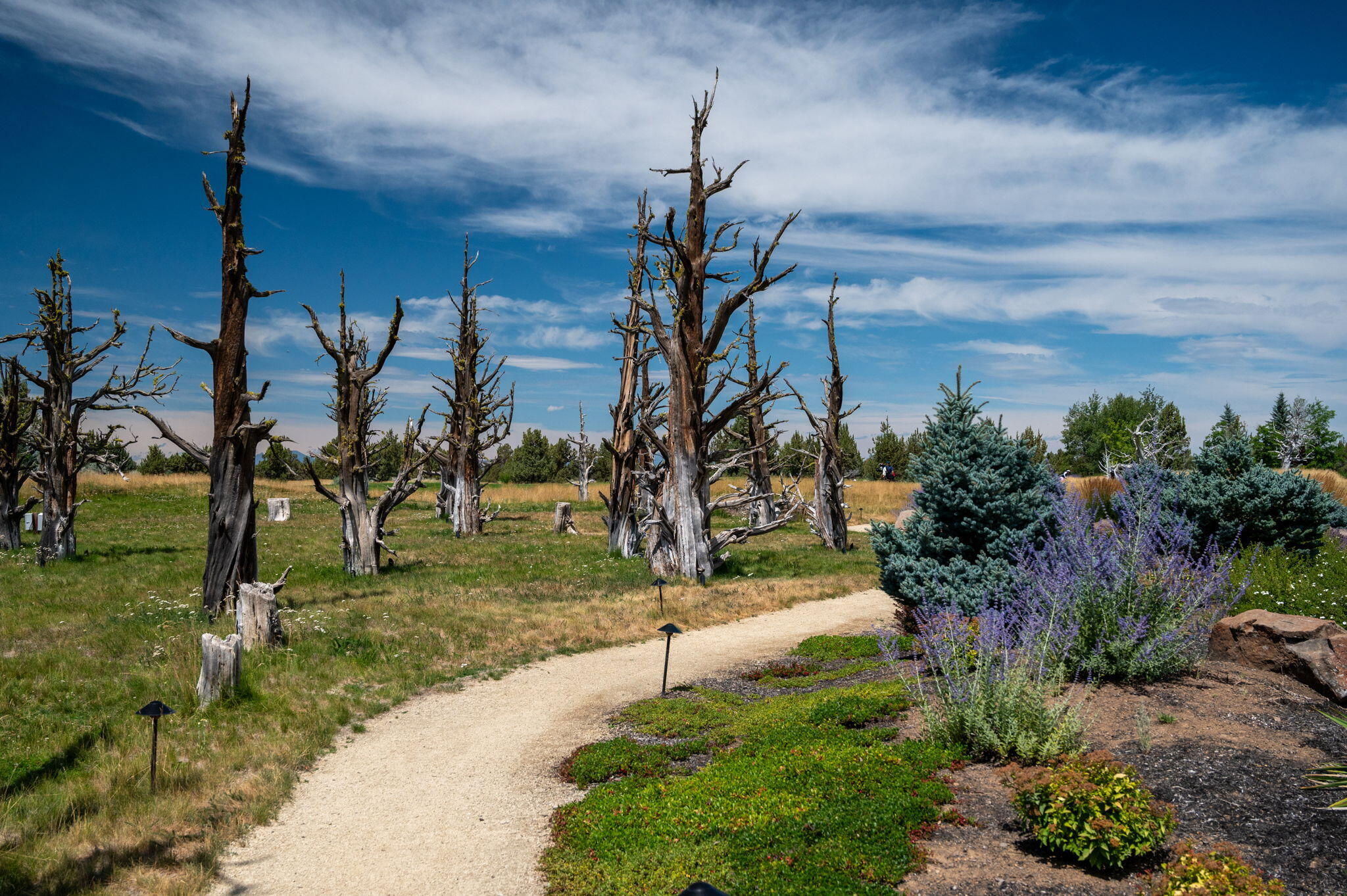 Pronghorn - Residential