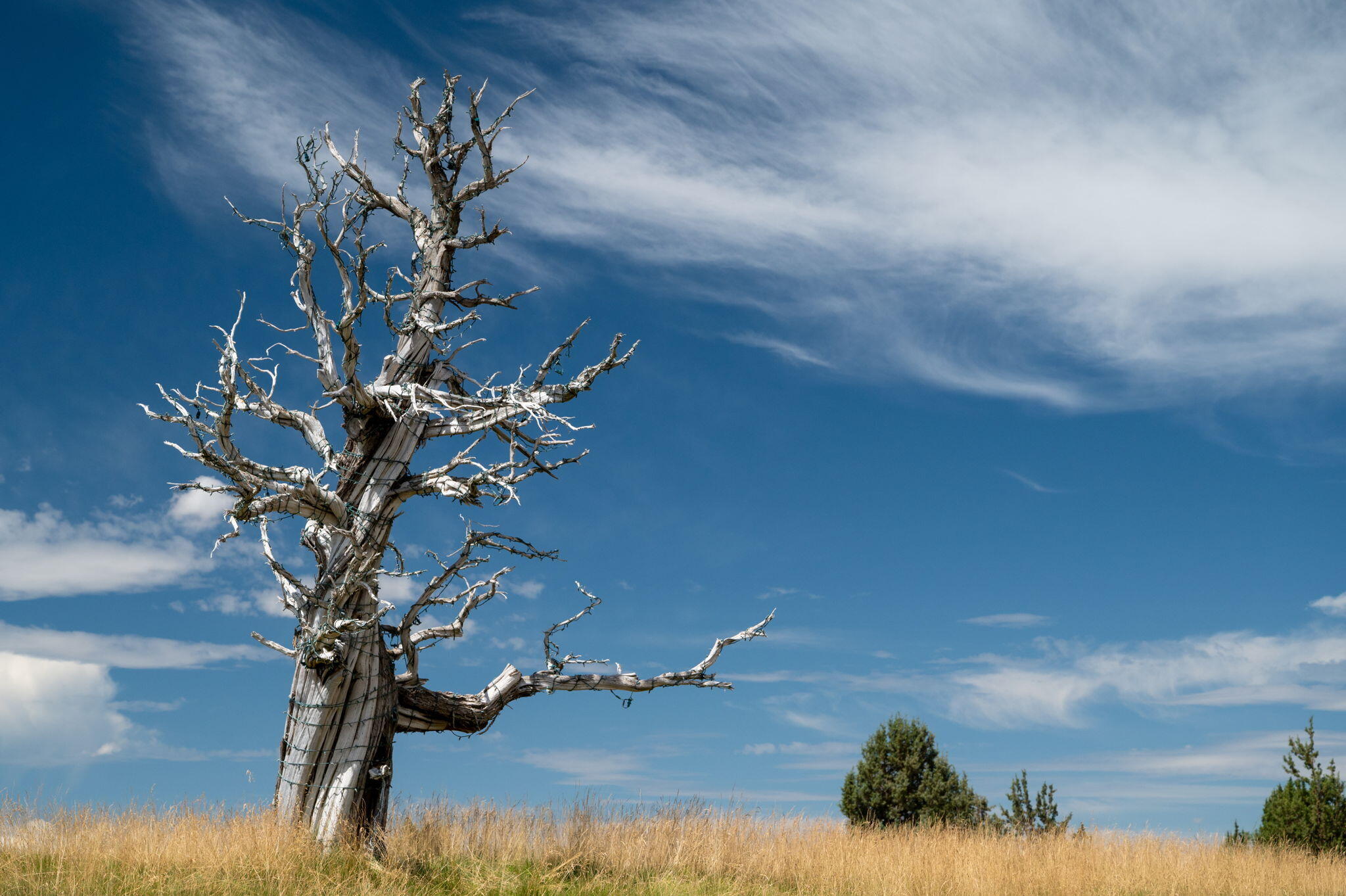 Pronghorn - Residential