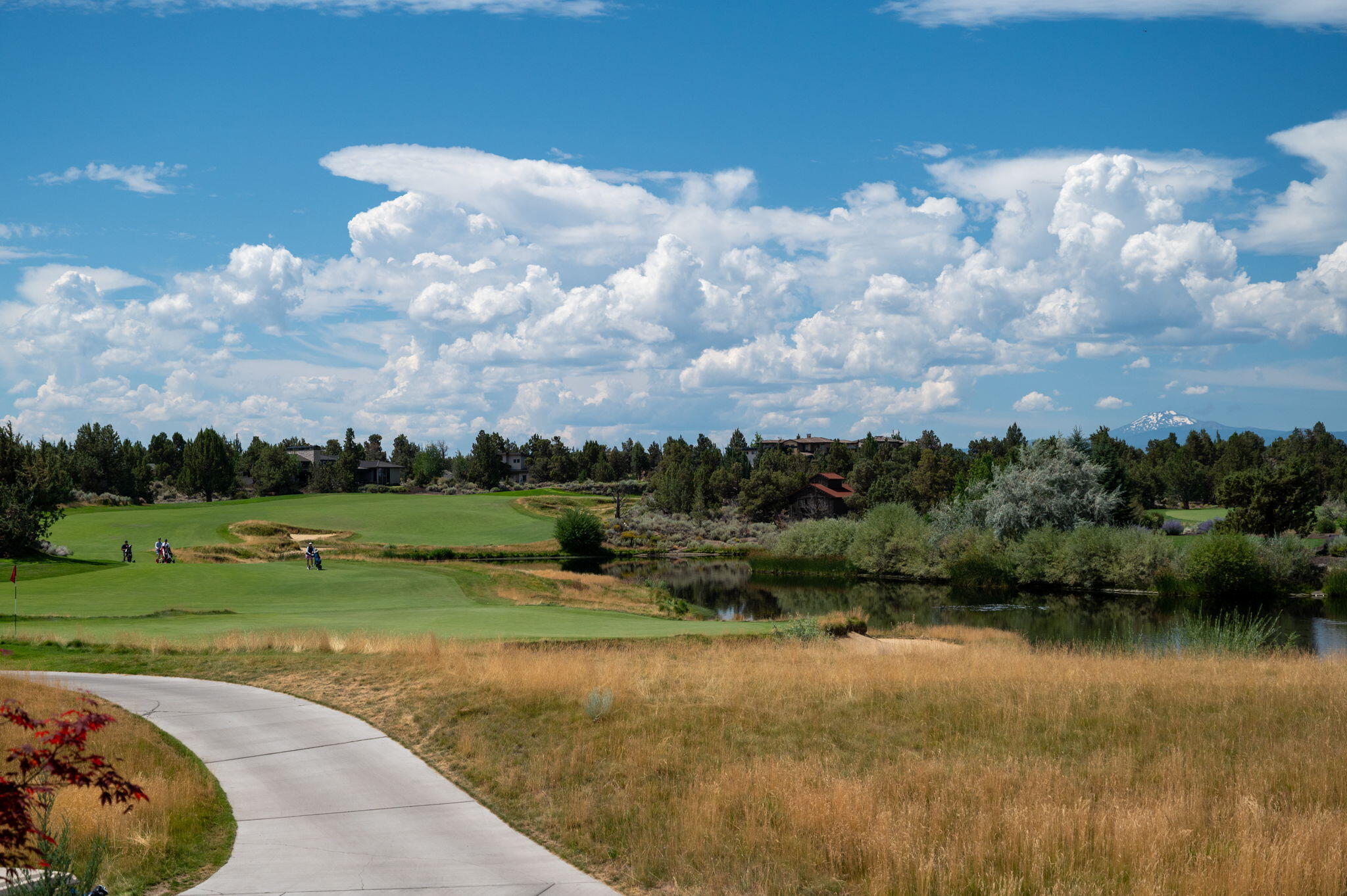 Pronghorn - Residential