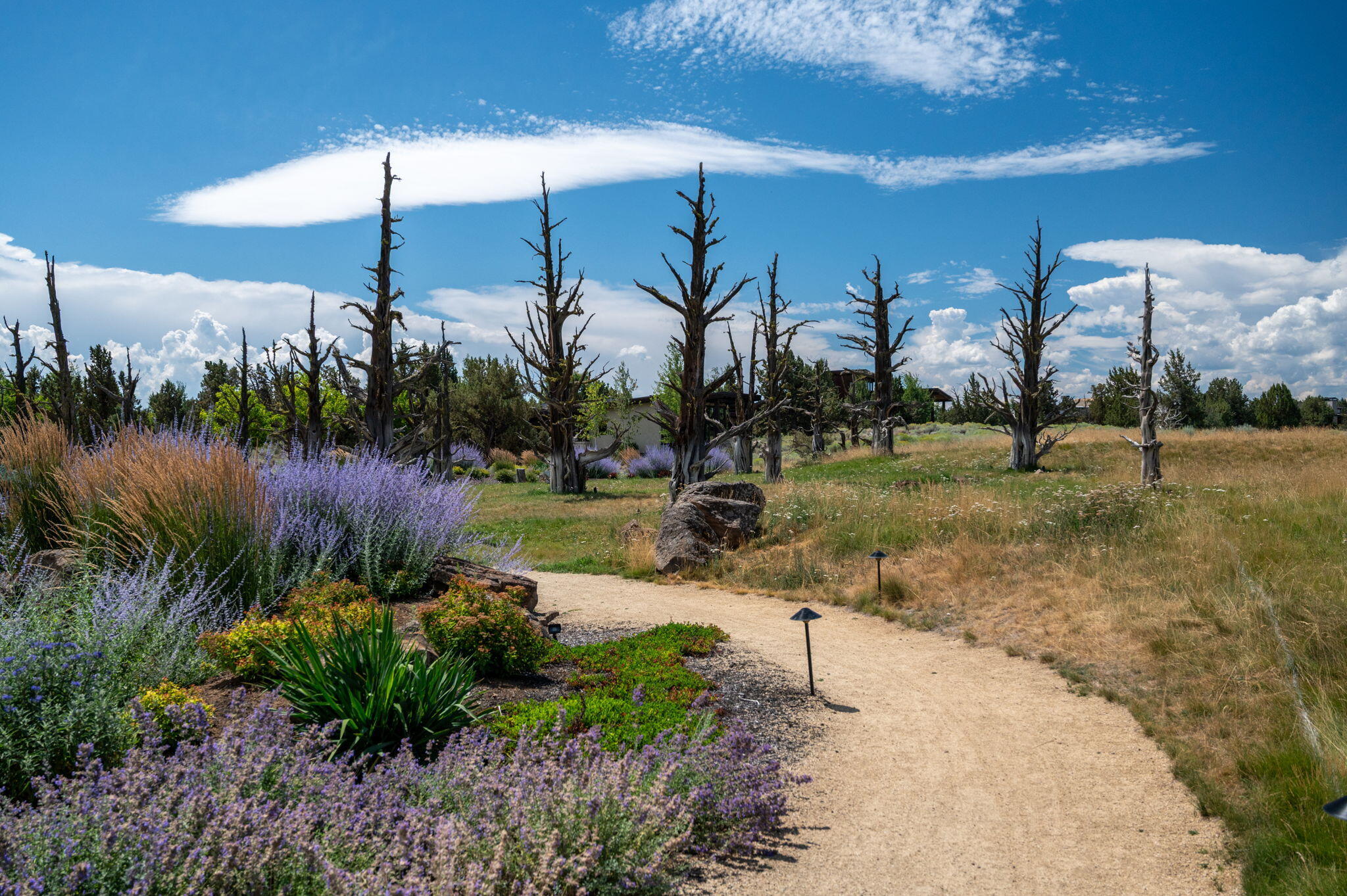 Pronghorn - Residential