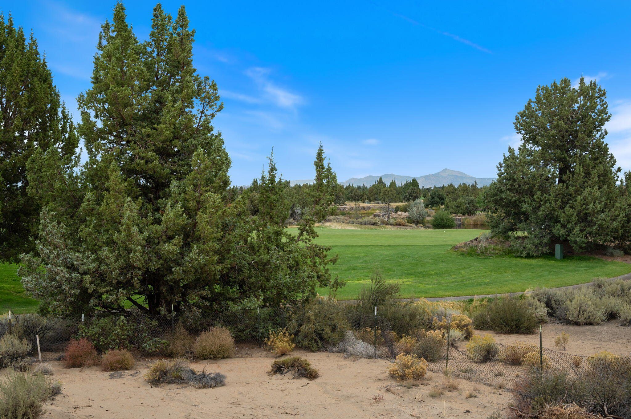 22936 Ghost Tree Lane