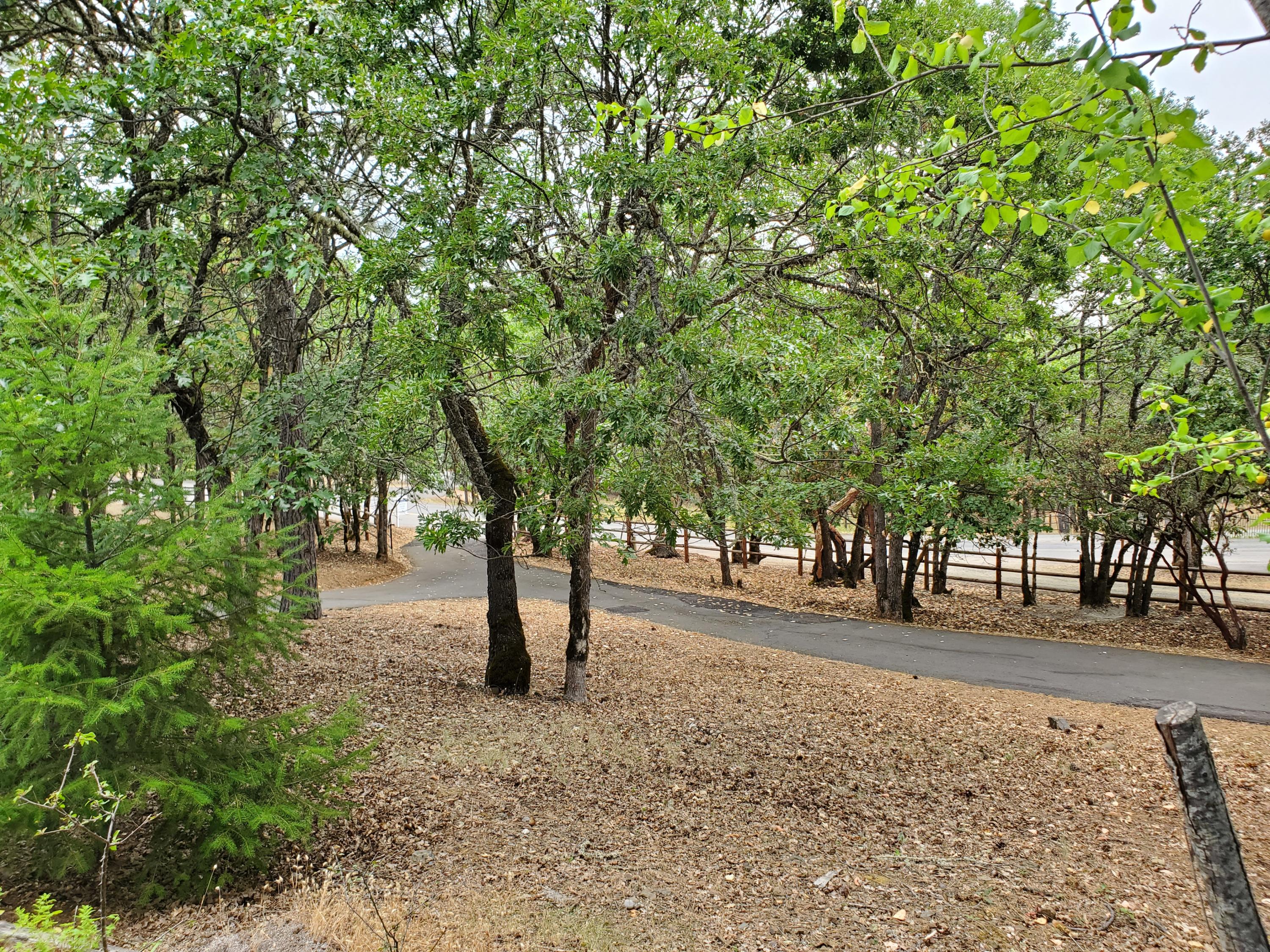 Sherman Heights - Residential