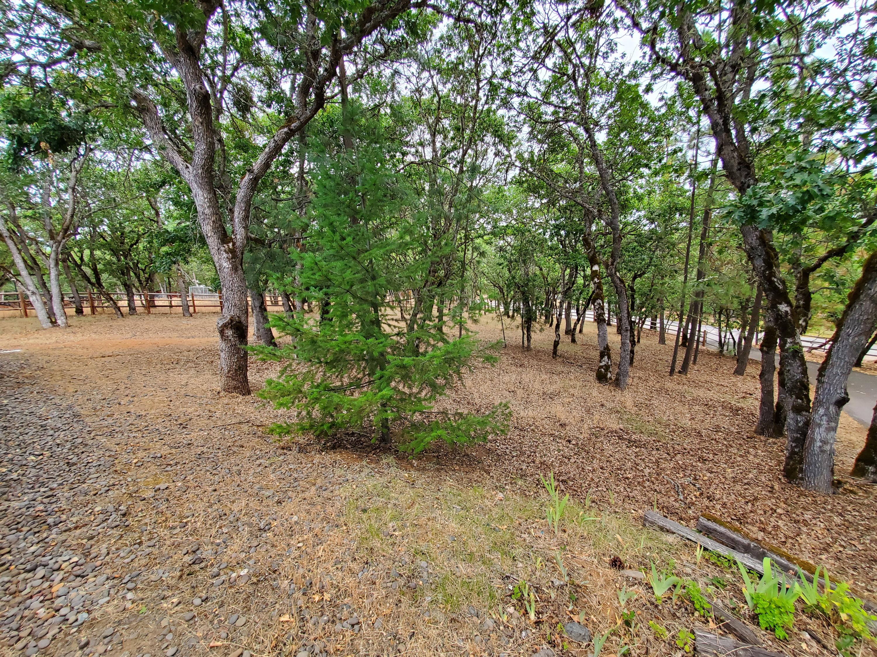 Sherman Heights - Residential