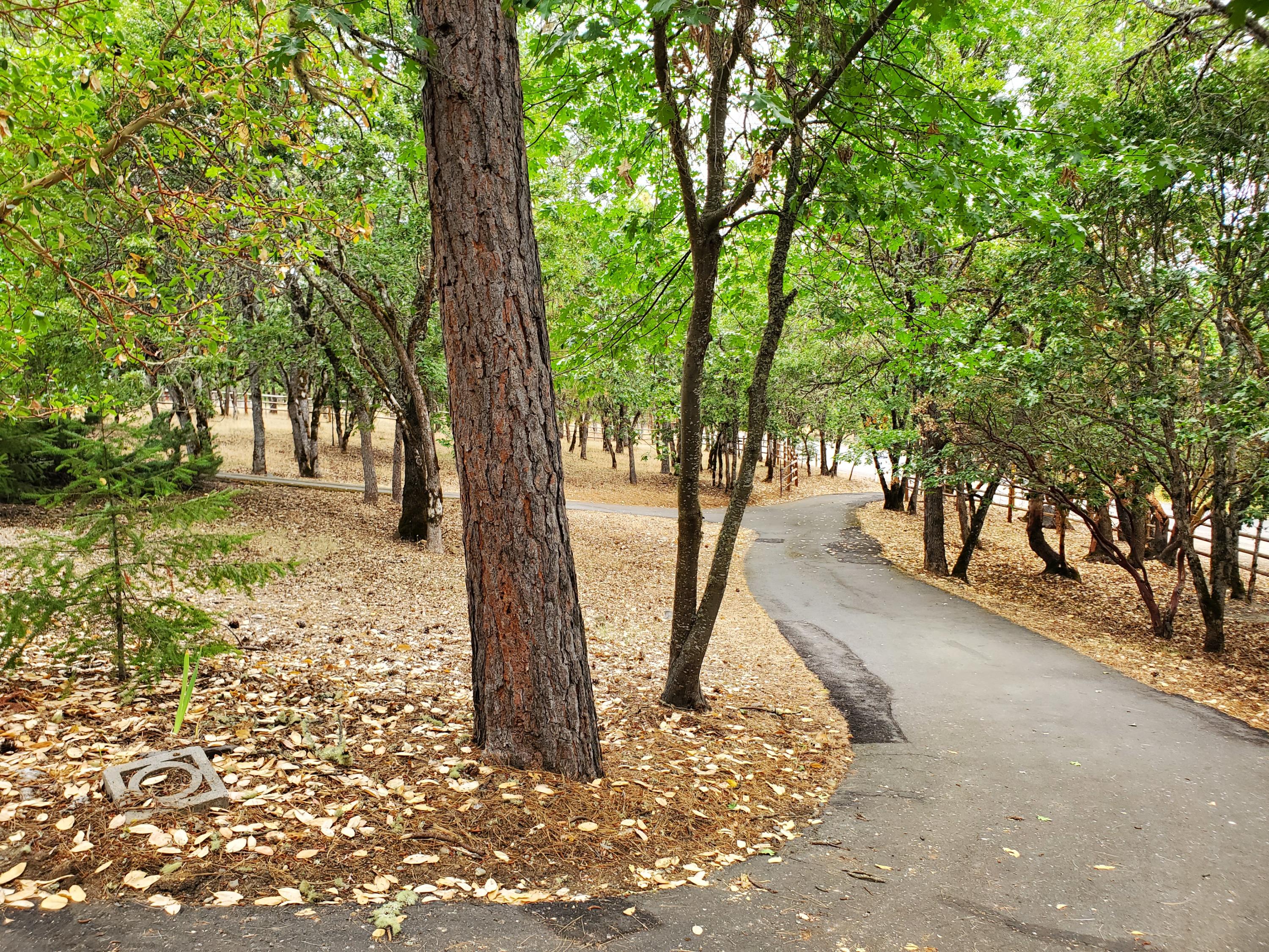Sherman Heights - Residential