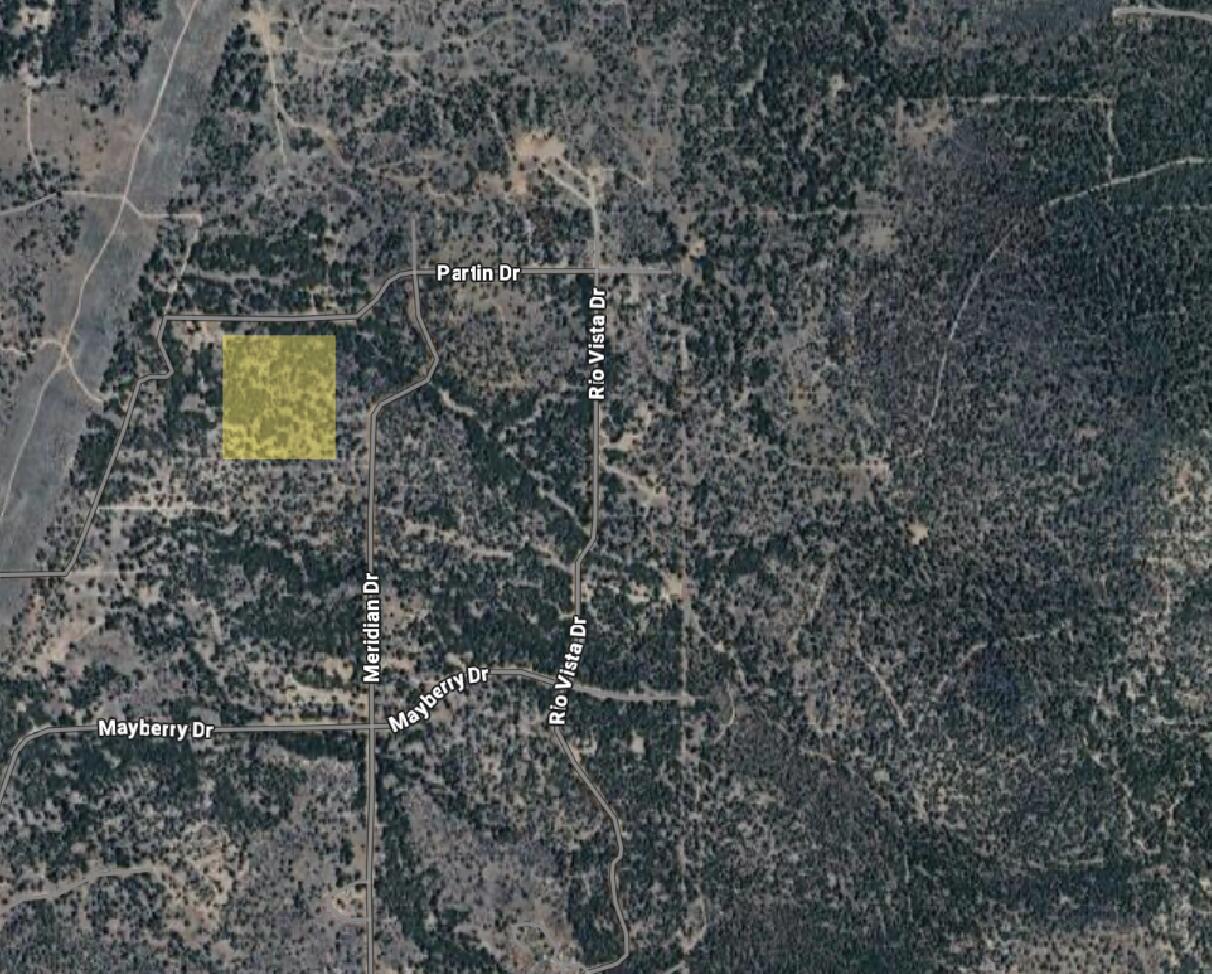 Ferguson Mountain Pines - Land