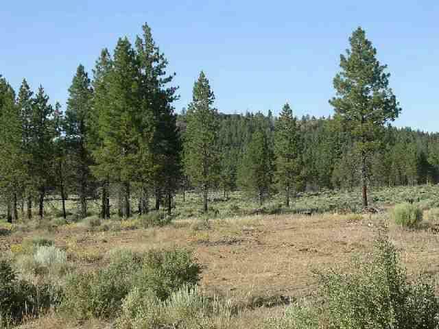 Sprague River - Land