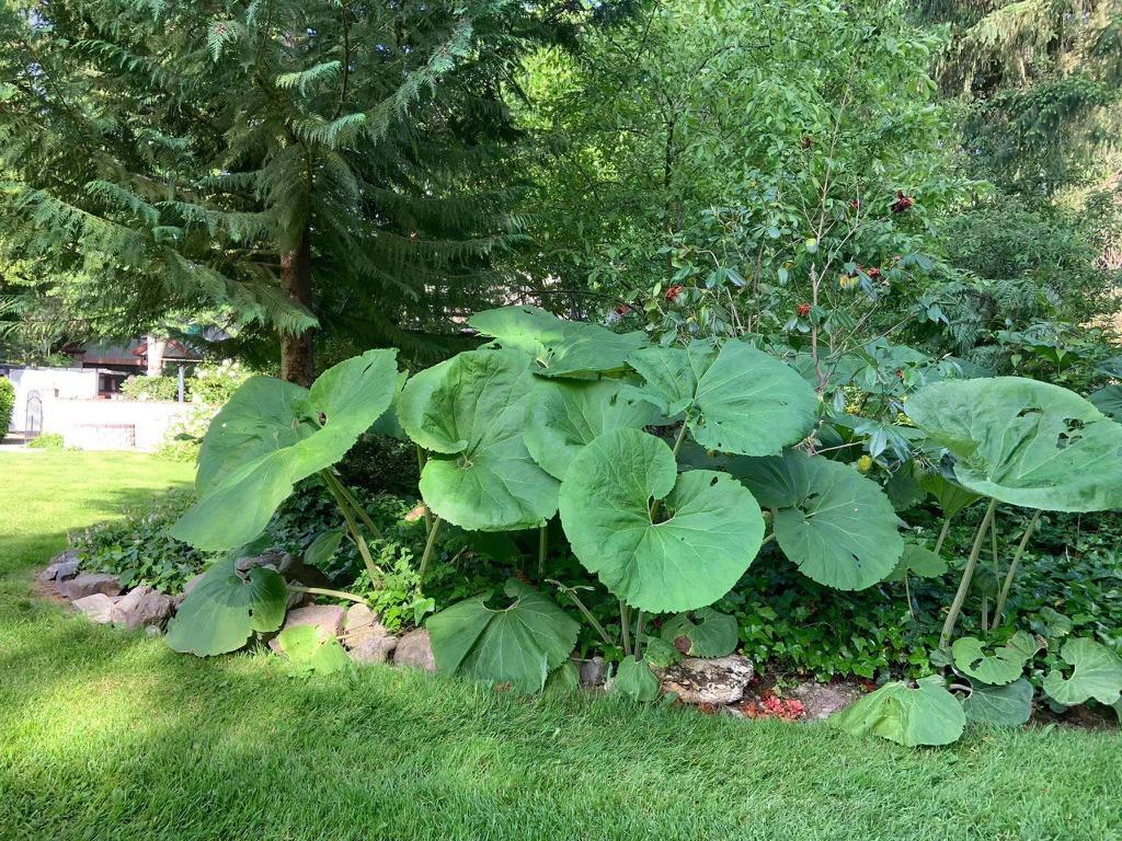 Perry Subdivision - Residential