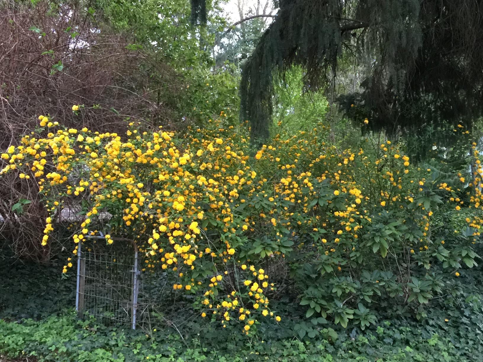 Perry Subdivision - Residential