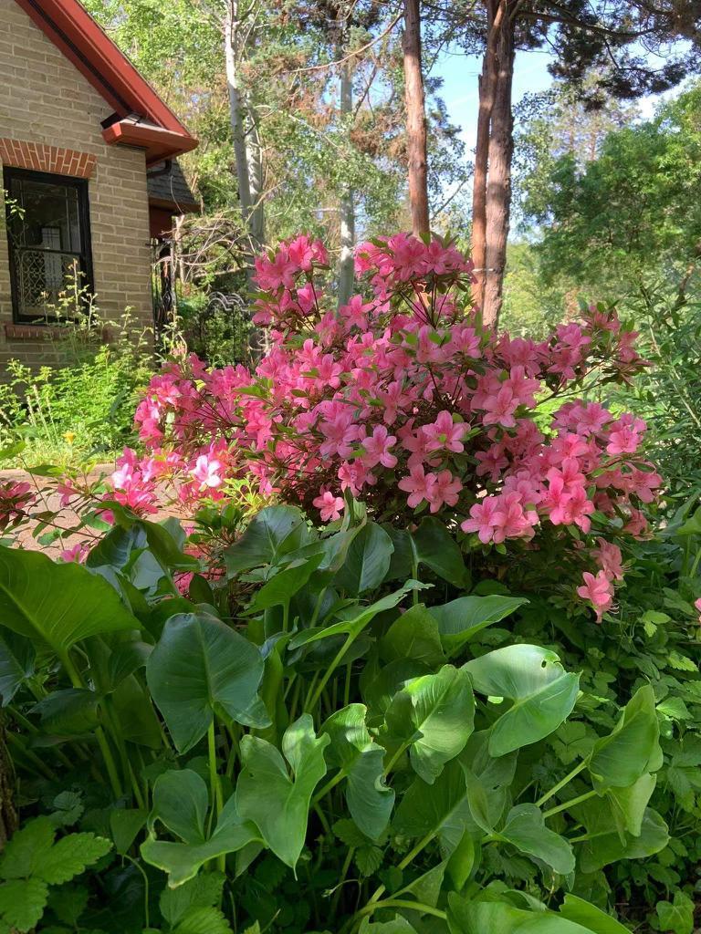 Perry Subdivision - Residential