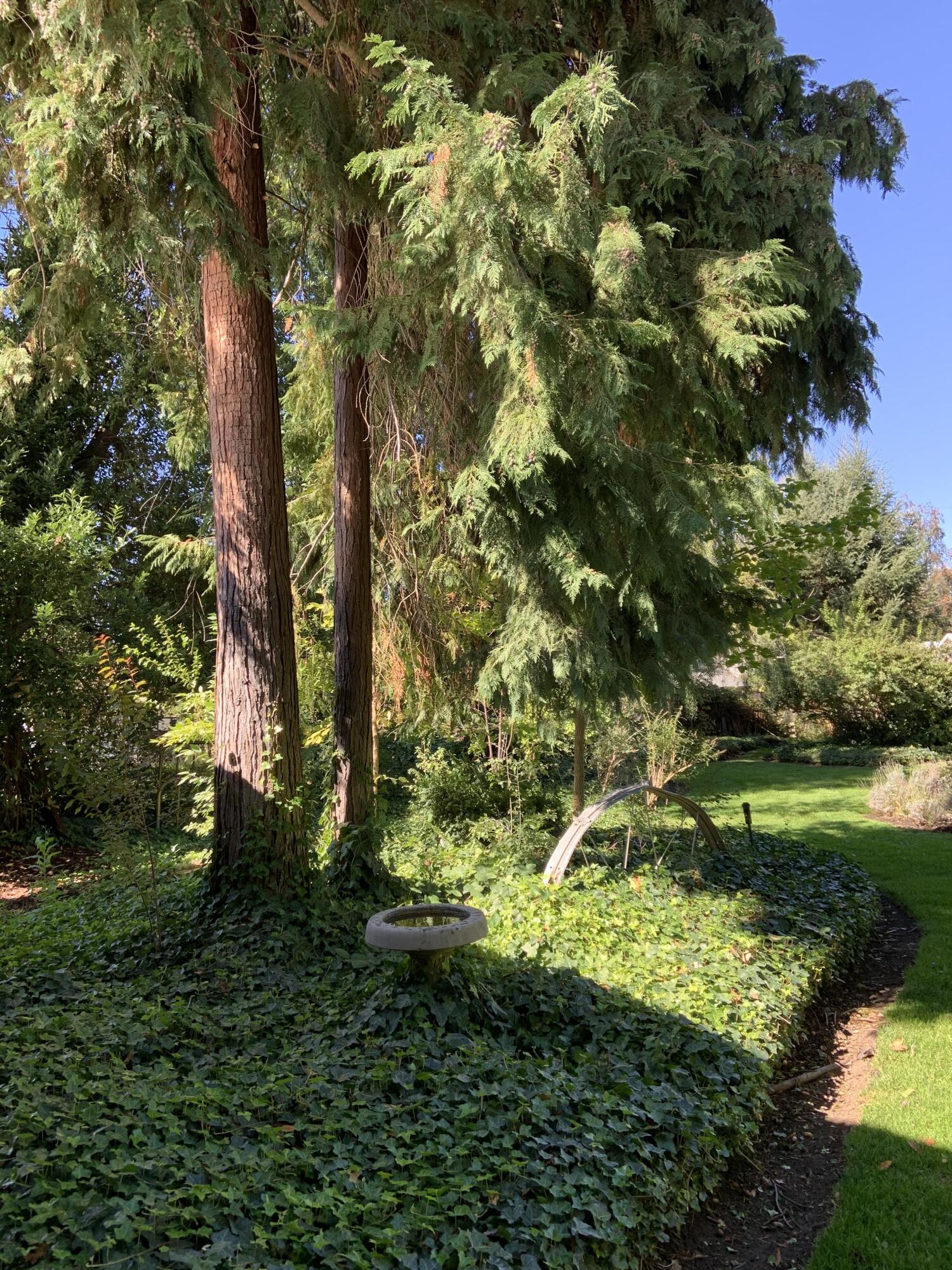 Perry Subdivision - Residential