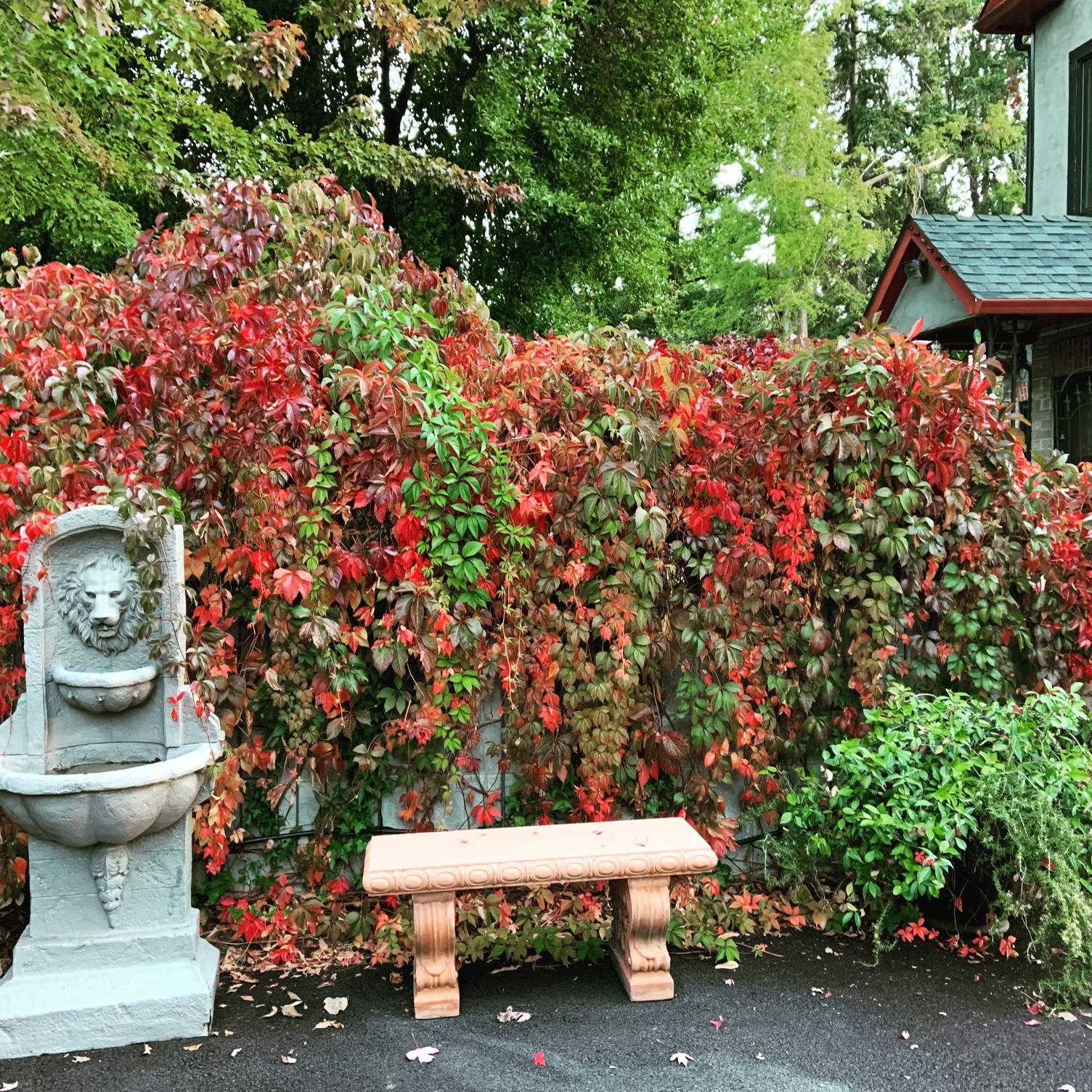 Perry Subdivision - Residential