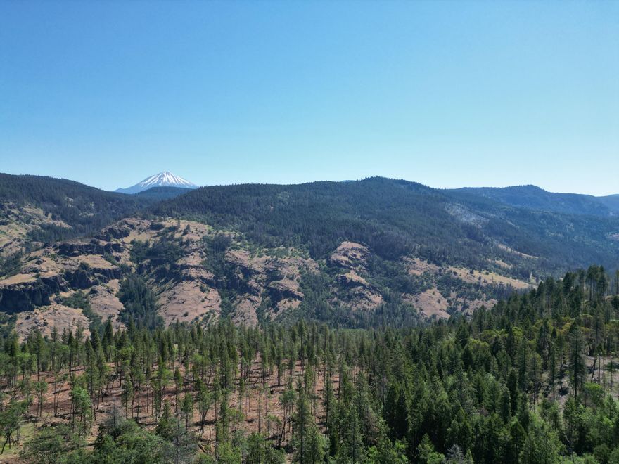 The North Fork Timber Tract invites the ultimate off-grid lifestyle—an escape to reconnect with nature. Envision your dream cabin, a peaceful sanctuary seamlessly integrated into natural surroundings, ensuring daily tranquility. Surrounded by public land and free from immediate neighbors, privacy and solitude are assured.

More than an investment, Approx750 MBF of merchantable timber standing on the property. An opportunity to forge an independent existence in harmony with the wild. Far from the madding crowd, yet accessible to modern comforts, it's a truly unique offering for those seeking their own wilderness haven.