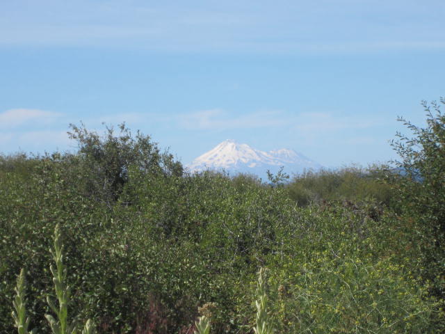 Paradise Hill - Land