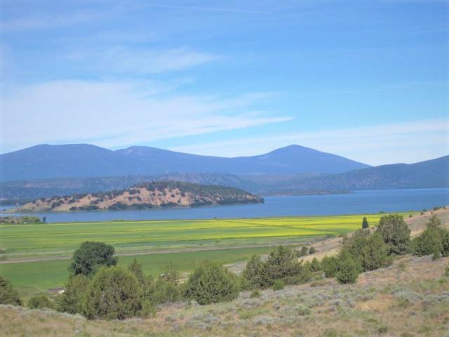 Paradise Hill - Land