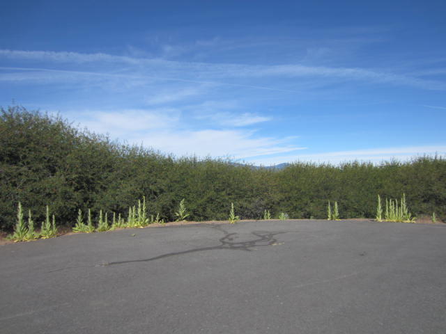 Paradise Hill - Land