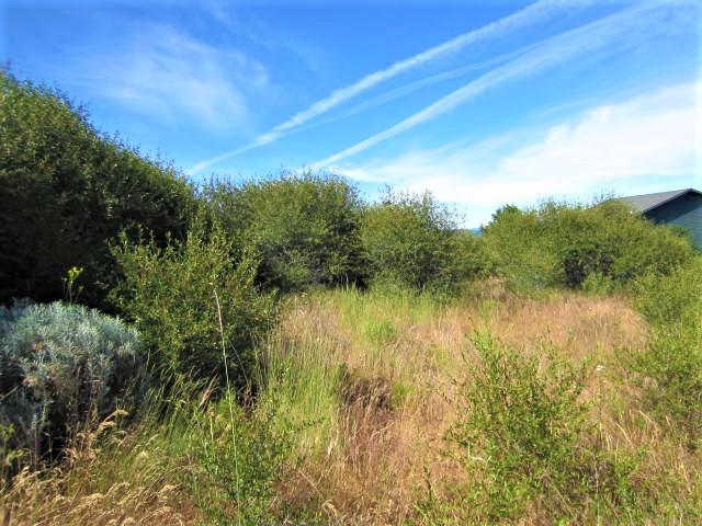 Paradise Hill - Land