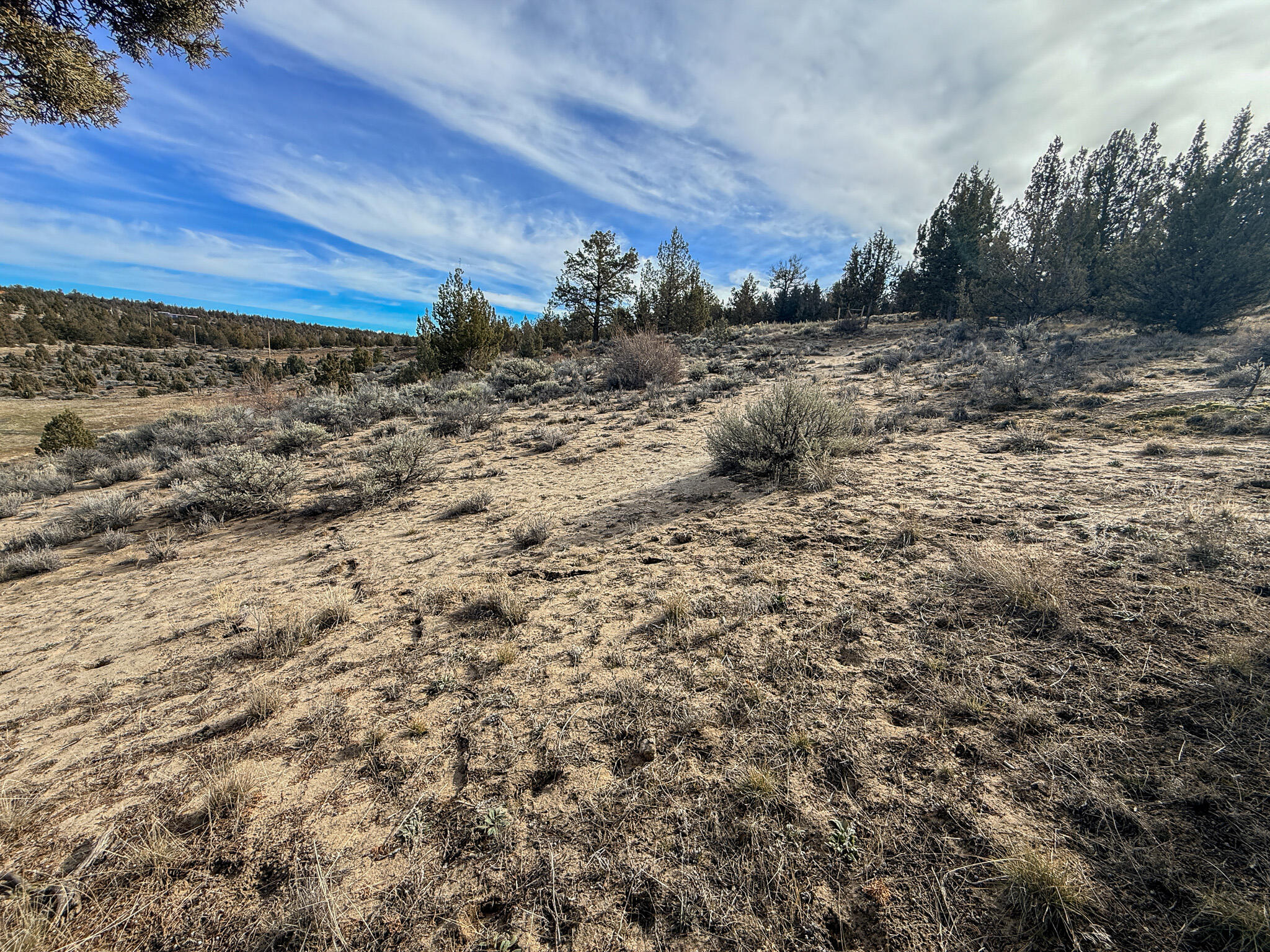 2600 SE TL 2600 Seneca Road