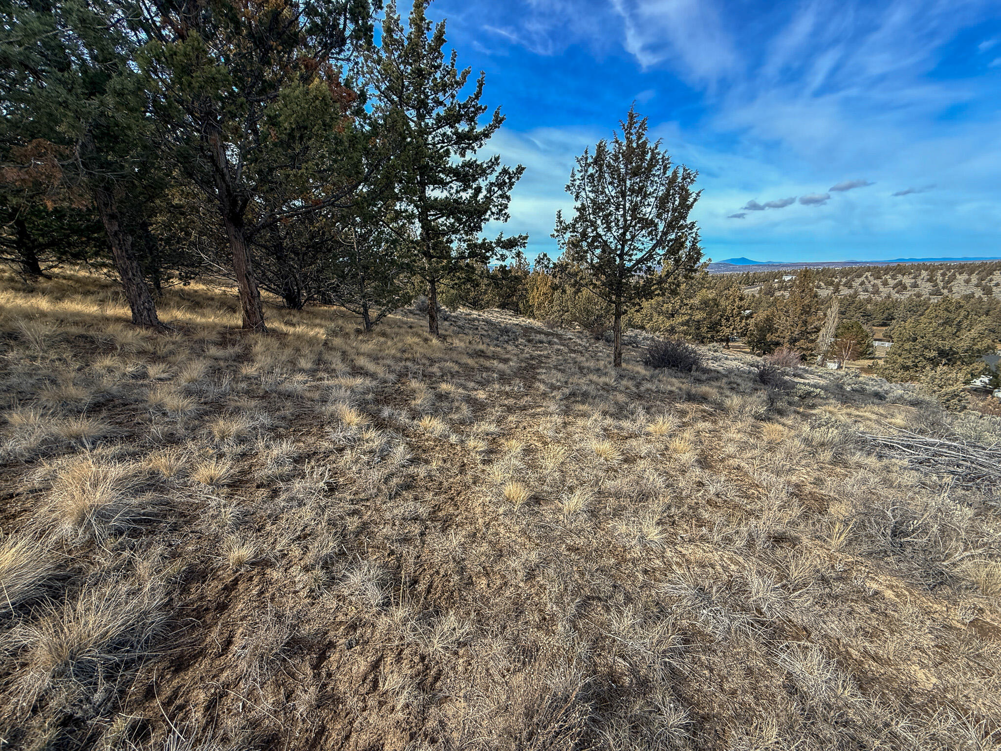 2600 SE TL 2600 Seneca Road