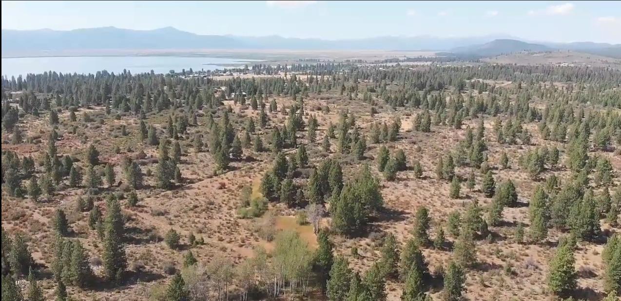 Monte Vista Ranch - Land