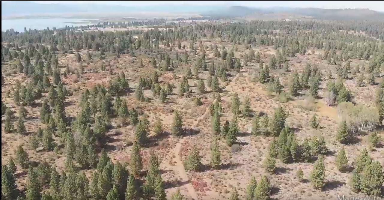 Monte Vista Ranch - Land