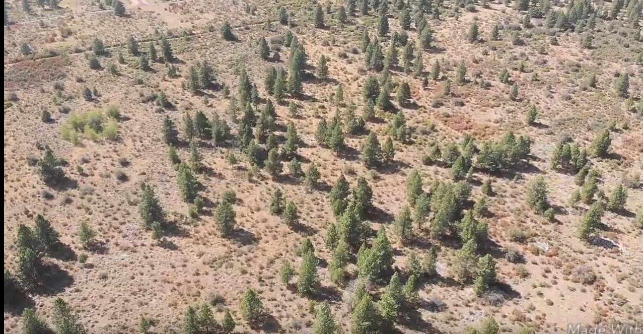 Monte Vista Ranch - Land