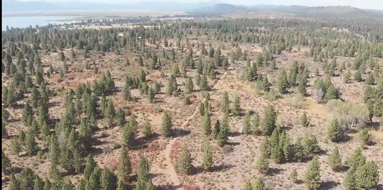 Monte Vista Ranch - Land