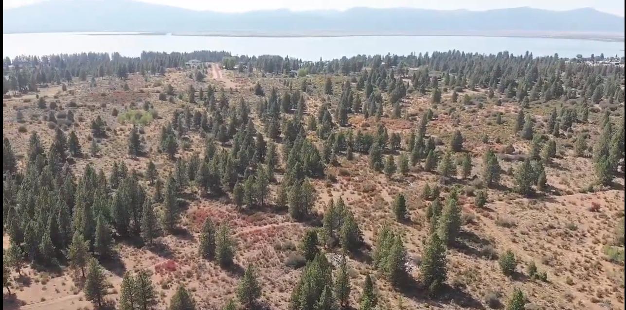 Monte Vista Ranch - Land