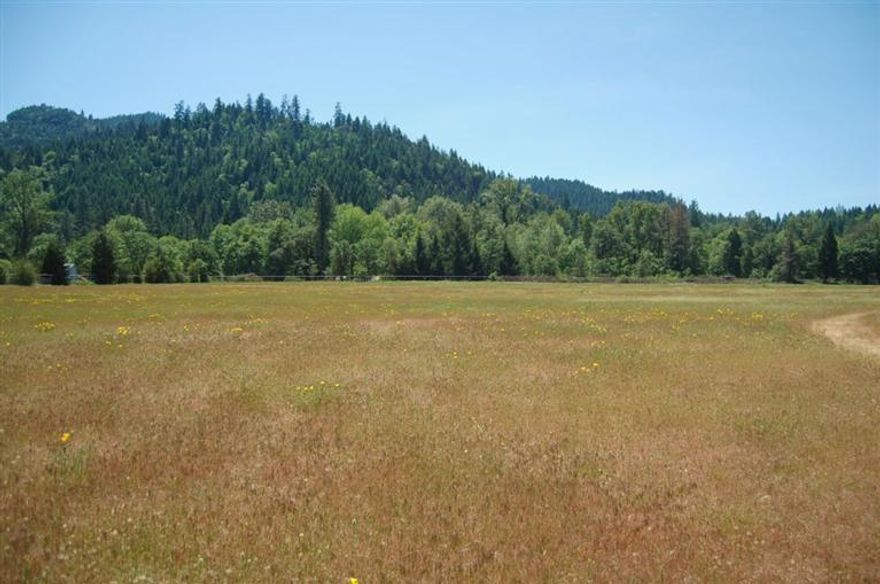 24+ beautiful acres close to the city of Grants Pass. The property is zoned RR5 allowing a possibility of 4 homesites. The property offers irrigable pasture and wooded hillside that is moderate in slope to steep. You will also find a spring fed pond that has been stocked with fish. Senior irrigation rights from Slate Creek, irrigation pump is included in the sale. This property may be that Oregon Dream that so many are looking for --- perhaps build your home on the hillside looking down of your pasture --- or split into 4 tax lots and develop.