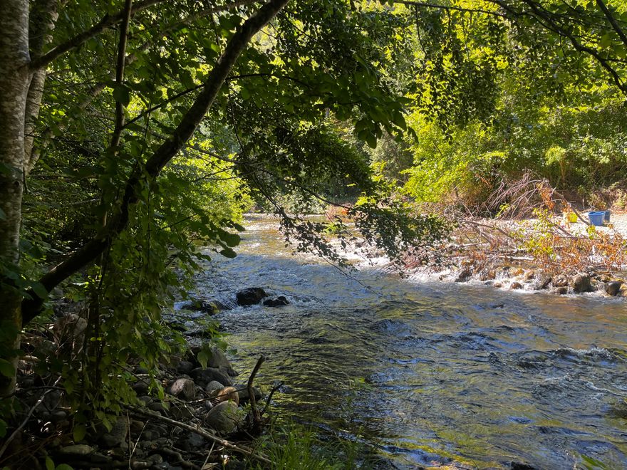 Looking for a place to get away from it all? Come hike, fish, swim, hunt and contemplate nature, without the intrusion of cell phones. Get away from all that is going on in the world around you, Set up your tent or rig and camp under the stars. Adjoining land is owned by the county and beyond that is BLM.  There are no improvements, no modern technology, just the trees, the water and the sky. Let the serenity of the forest settle around you as Sucker Creek tumbles by.