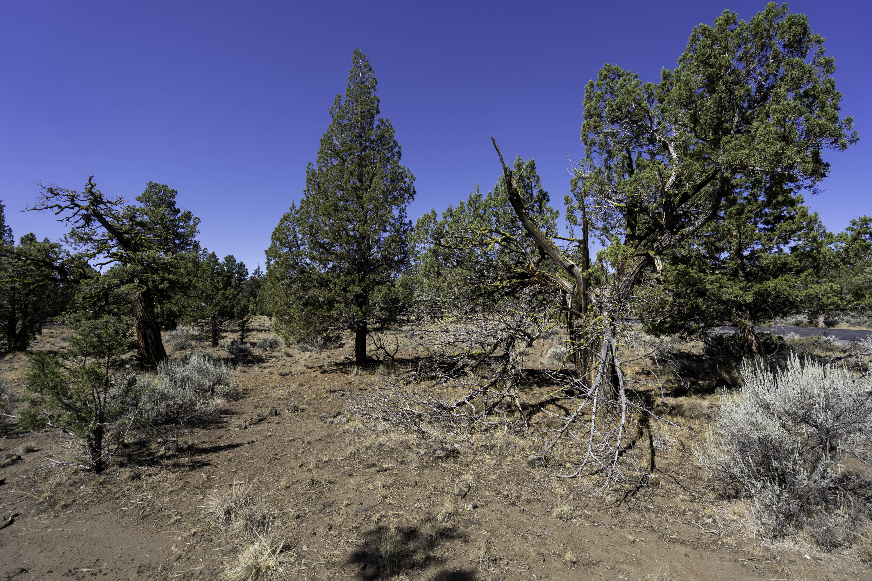 Aspen Lakes Golf Est - Land