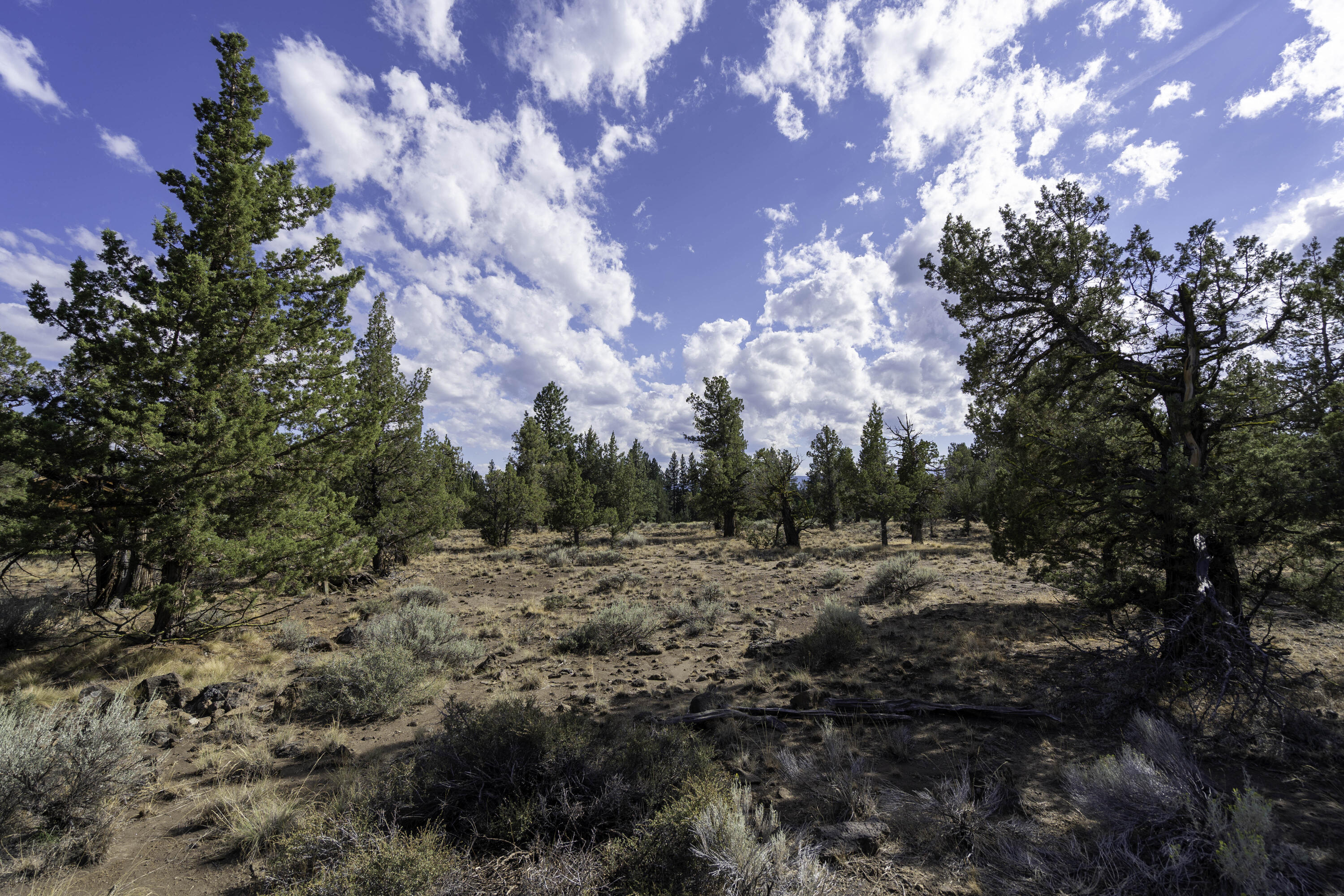 Aspen Lakes Golf Est - Land