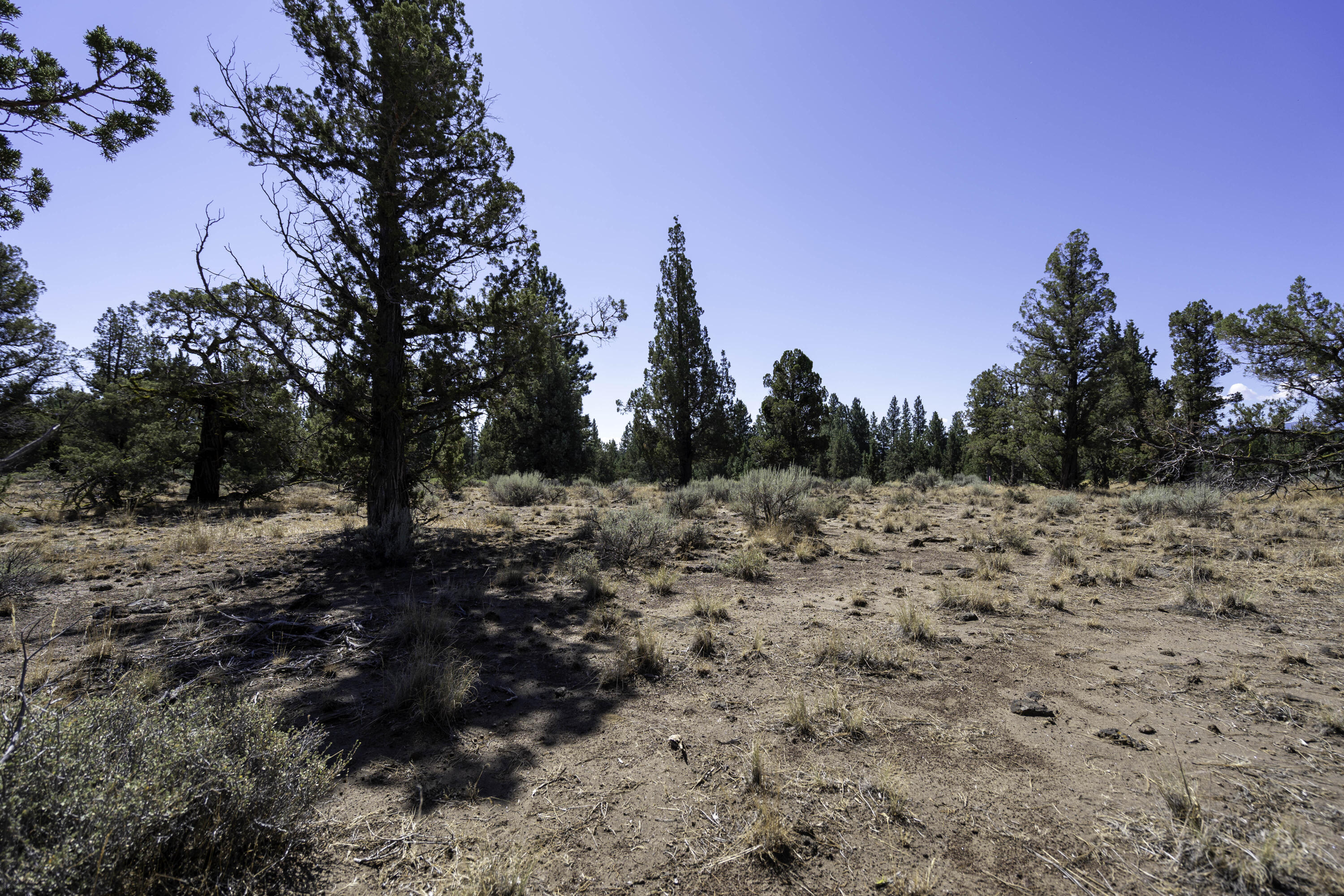 Aspen Lakes Golf Est - Land