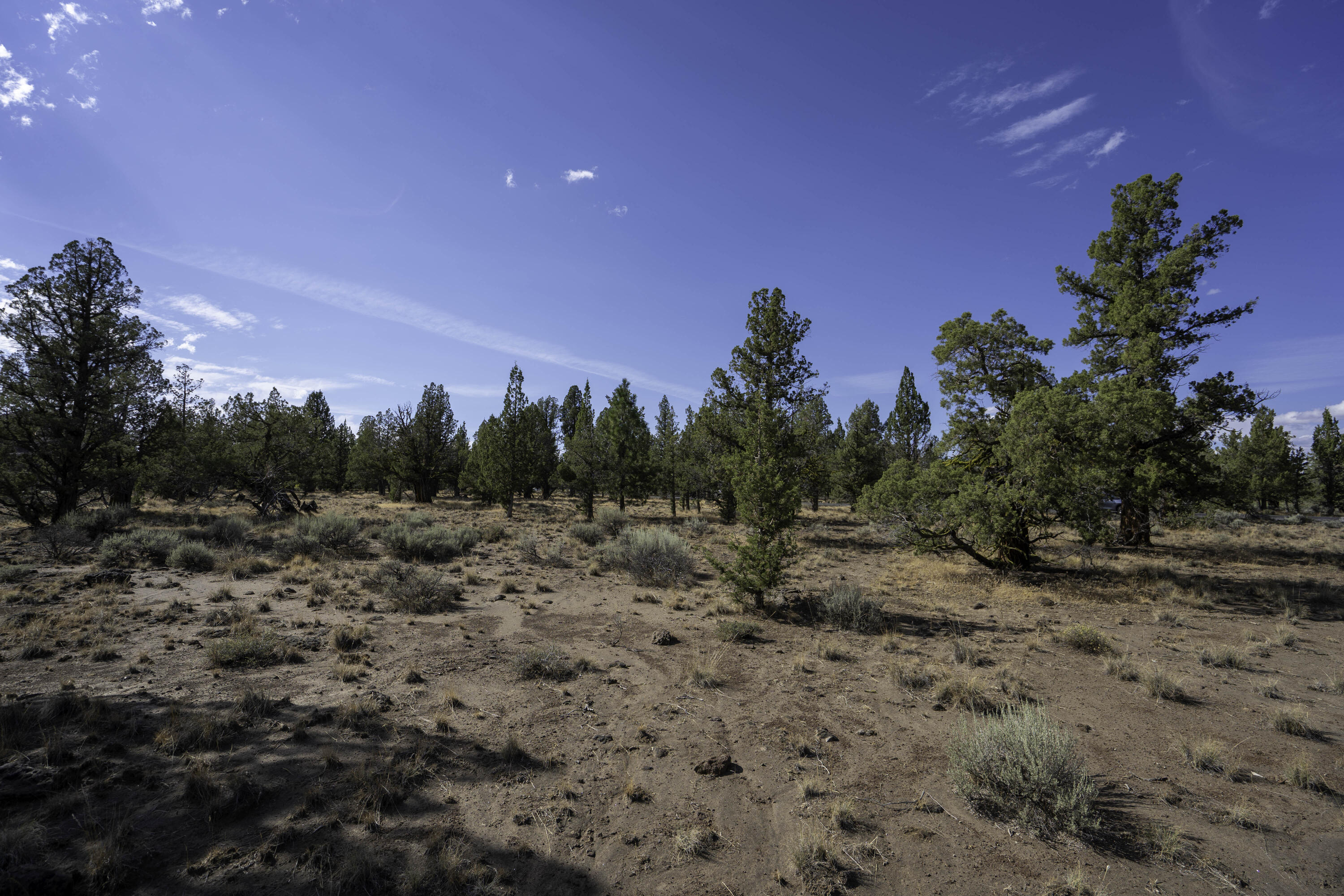 Aspen Lakes Golf Est - Land