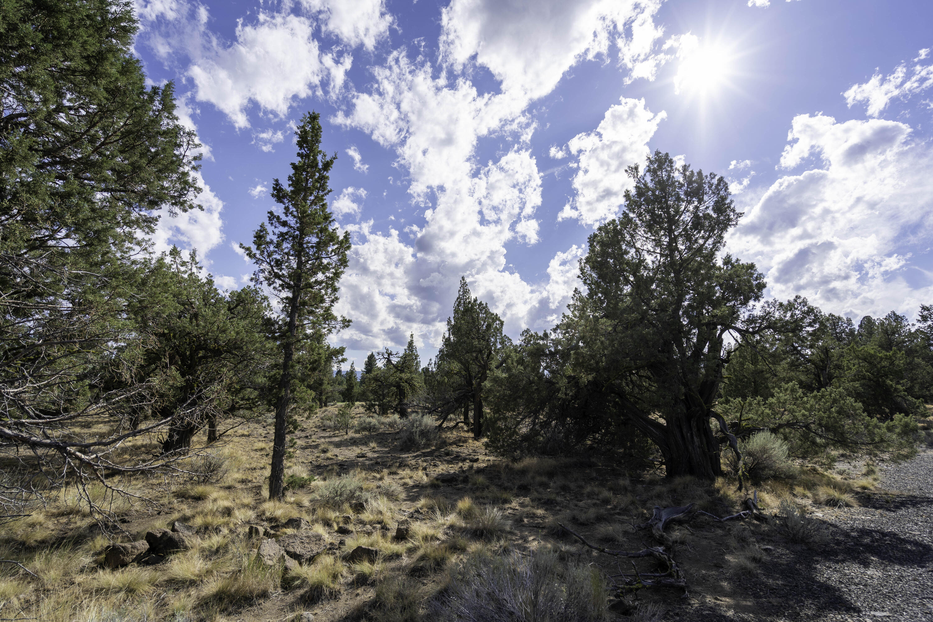 Aspen Lakes Golf Est - Land