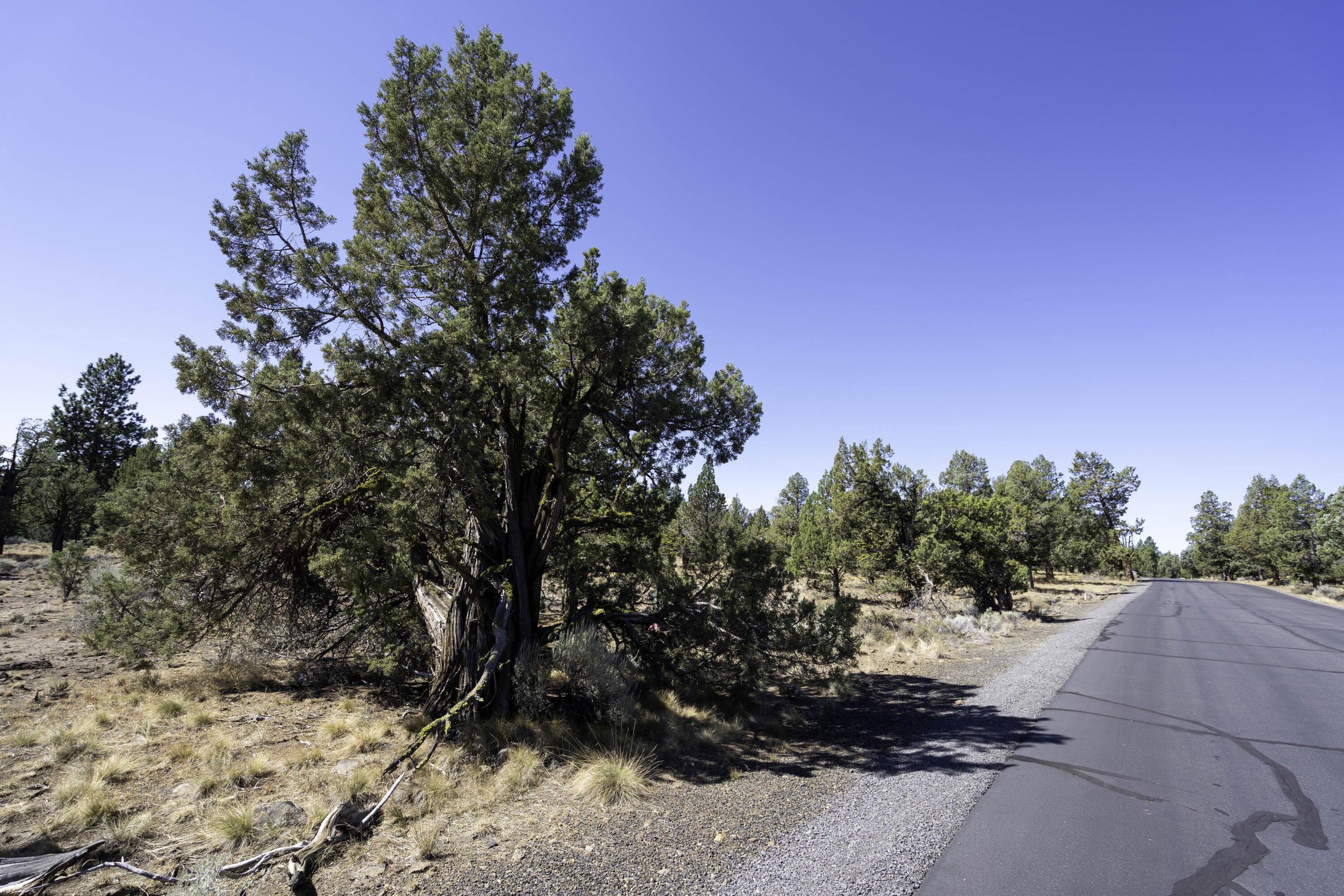 Aspen Lakes Golf Est - Land