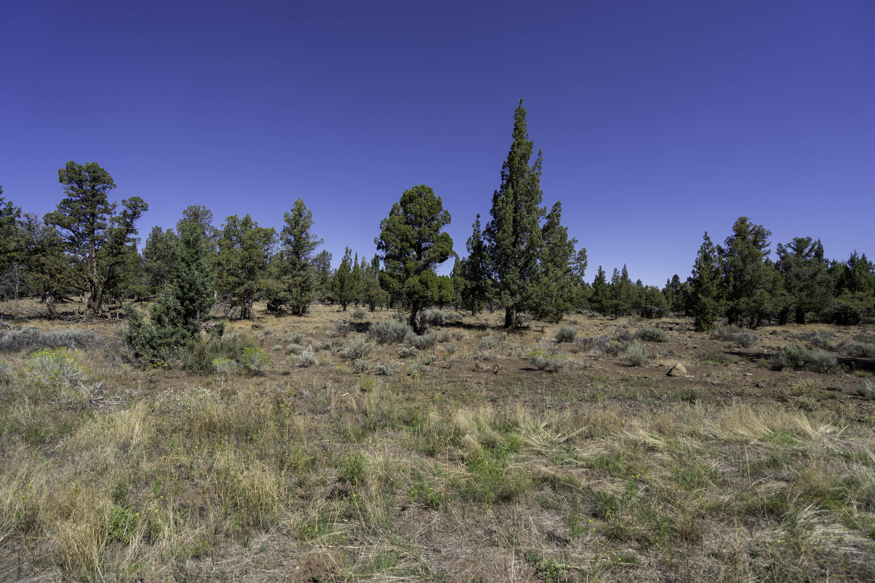 Aspen Lakes Golf Est - Land