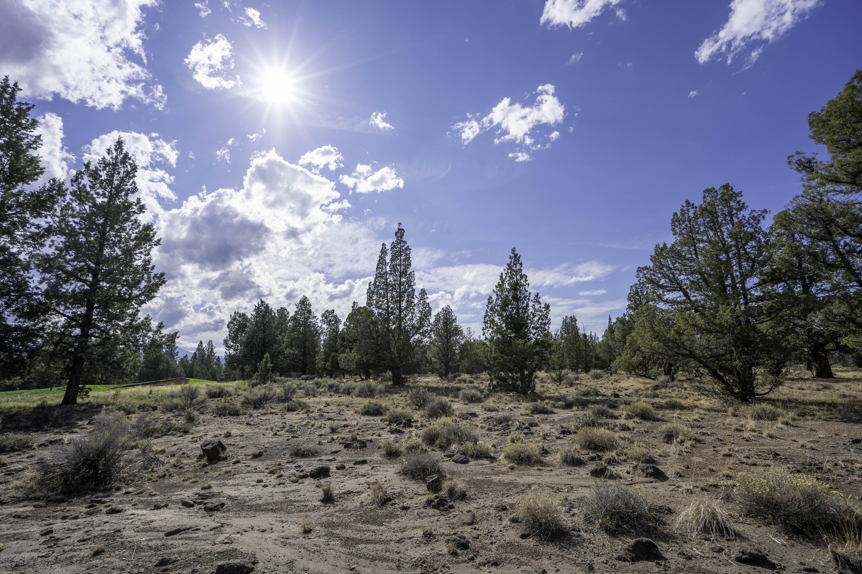 Aspen Lakes Golf Est - Land