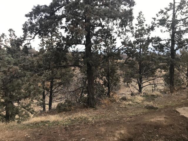 Canyon Rim Village - Land