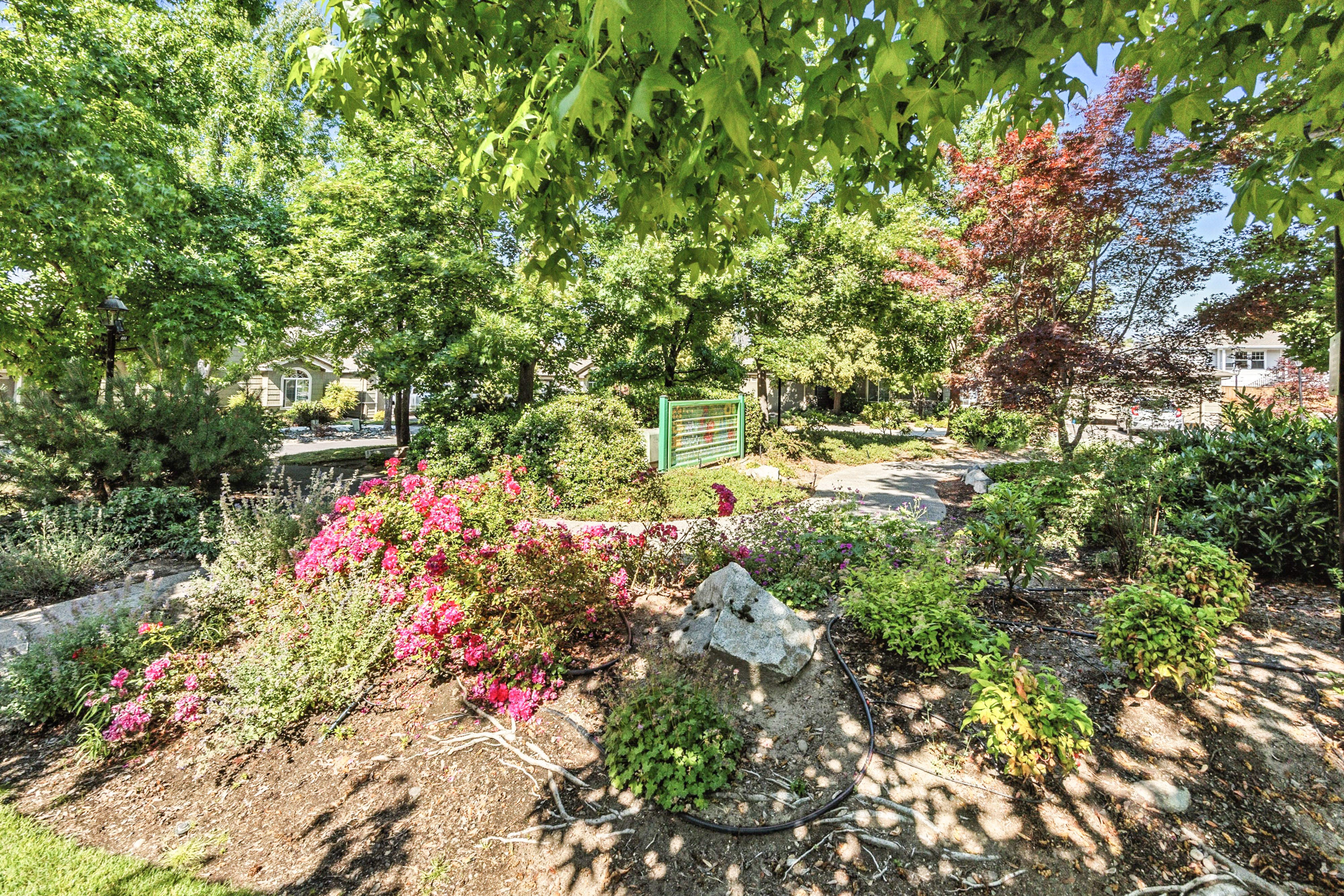 Birchwood At Ashland A Planned Community - Residential