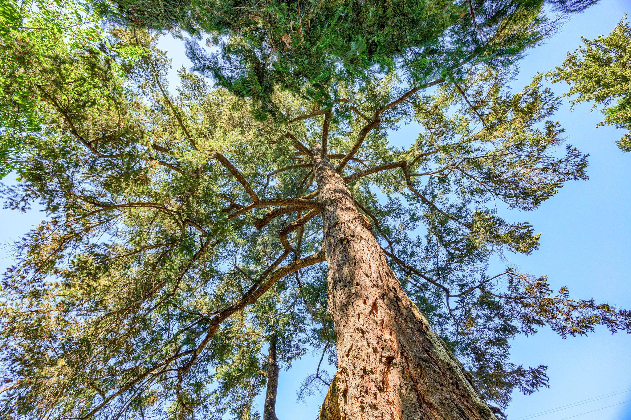 Carner And Sabins Addition To Woodville - Residential