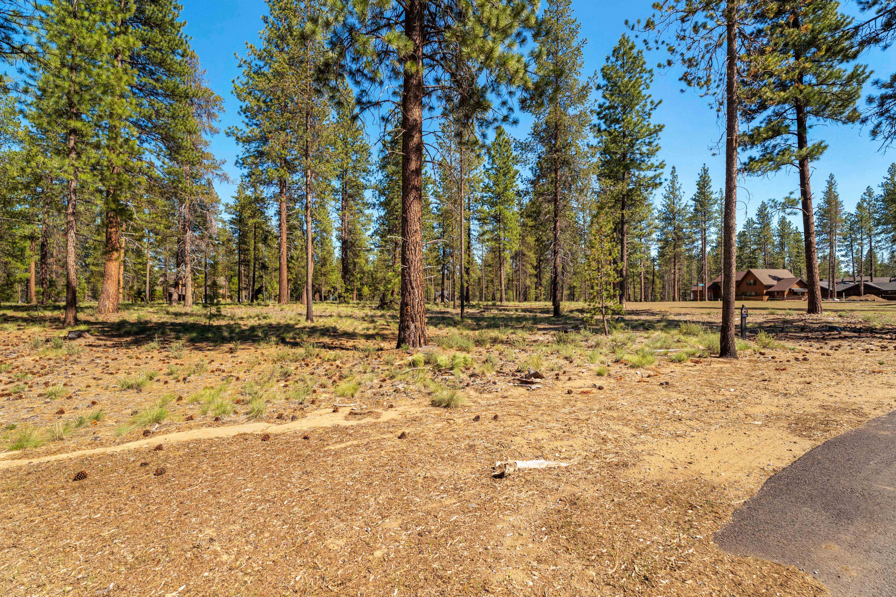 17715 Redtail Loop 478