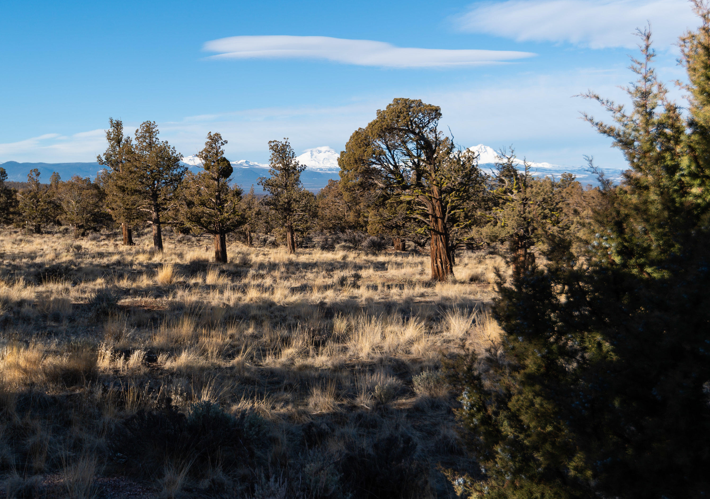 Eagle Crest - Residential